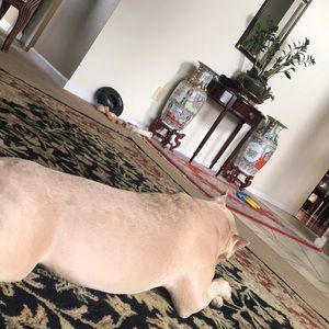 Meet your Posher, Christopher